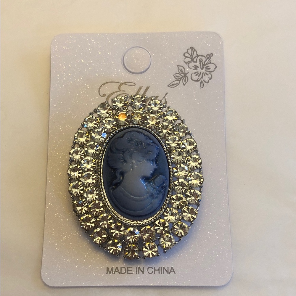 New Elegant Blue Cameo Brooch with Silver Accents
